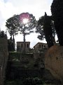 Roman Forum - Palantino-14